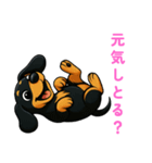 かわいいダックスフンドの【博多弁】（個別スタンプ：30）