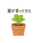 ベランダやさい日記（個別スタンプ：7）