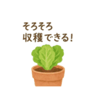 ベランダやさい日記（個別スタンプ：8）