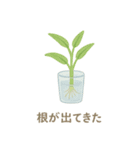 ベランダやさい日記（個別スタンプ：19）