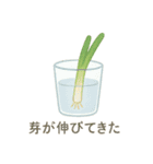 ベランダやさい日記（個別スタンプ：27）