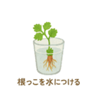 ベランダやさい日記（個別スタンプ：29）