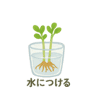 ベランダやさい日記（個別スタンプ：34）