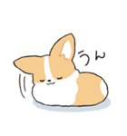 我が家のコーギー[シンプル]（個別スタンプ：2）