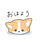 我が家のコーギー[シンプル]（個別スタンプ：5）