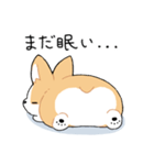 我が家のコーギー[シンプル]（個別スタンプ：8）