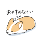 我が家のコーギー[シンプル]（個別スタンプ：9）
