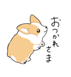 我が家のコーギー[シンプル]（個別スタンプ：10）