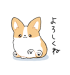 我が家のコーギー[シンプル]（個別スタンプ：21）