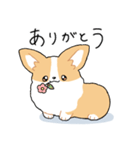 我が家のコーギー[シンプル]（個別スタンプ：22）