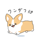 我が家のコーギー[シンプル]（個別スタンプ：24）