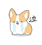 我が家のコーギー[シンプル]（個別スタンプ：28）