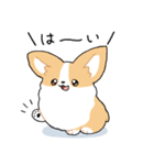 我が家のコーギー[シンプル]（個別スタンプ：31）