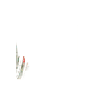 この訳の分からない世の中jonesが問う（個別スタンプ：1）