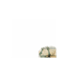 この訳の分からない世の中jonesが問う（個別スタンプ：5）