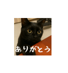 小花達です！ほのぼの日常スタンプ(日本語)（個別スタンプ：2）