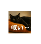 小花達です！ほのぼの日常スタンプ(日本語)（個別スタンプ：6）