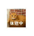 小花達です！ほのぼの日常スタンプ(日本語)（個別スタンプ：14）