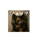 小花達です！ほのぼの日常スタンプ(日本語)（個別スタンプ：15）