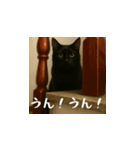 小花達です！ほのぼの日常スタンプ(日本語)（個別スタンプ：16）
