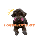 ラウレア4（個別スタンプ：1）