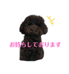 ラウレア4（個別スタンプ：6）