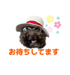 ラウレア4（個別スタンプ：10）