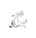 Terrier_20250622.NEF（個別スタンプ：24）
