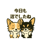 推し活/敬語 推しのいるチワワの日常（個別スタンプ：4）