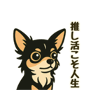 推し活/敬語 推しのいるチワワの日常（個別スタンプ：5）