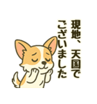 推し活/敬語 推しのいるチワワの日常（個別スタンプ：9）