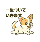 推し活/敬語 推しのいるチワワの日常（個別スタンプ：12）