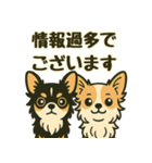 推し活/敬語 推しのいるチワワの日常（個別スタンプ：13）
