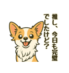 推し活/敬語 推しのいるチワワの日常（個別スタンプ：16）