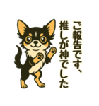 推し活/敬語 推しのいるチワワの日常（個別スタンプ：21）