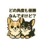 推し活/敬語 推しのいるチワワの日常（個別スタンプ：22）