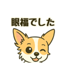 推し活/敬語 推しのいるチワワの日常（個別スタンプ：24）