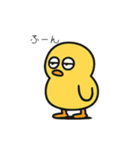 ポヨヨンひよこ①（個別スタンプ：1）