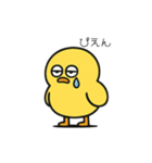 ポヨヨンひよこ（個別スタンプ：14）