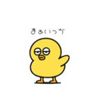 ポヨヨンひよこ（個別スタンプ：30）