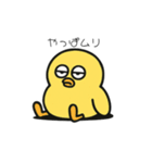 ポヨヨンひよこ（個別スタンプ：40）