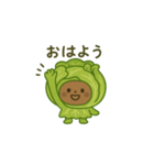 ムスッと可愛いキャベ子スタンプ（個別スタンプ：1）
