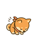忍者どうぶつスタンプ（個別スタンプ：3）
