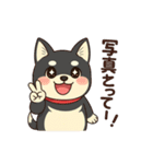 黒柴ナナちゃんと遊園地（個別スタンプ：2）