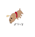 水犬（みずいぬ）（個別スタンプ：6）