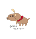 水犬（みずいぬ）（個別スタンプ：13）