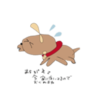水犬（みずいぬ）（個別スタンプ：16）