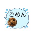 新しい 犬スタンプ 2（個別スタンプ：18）