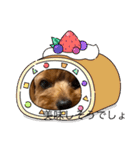 新しい 犬スタンプ 2（個別スタンプ：19）