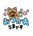 新しい 犬スタンプ 2（個別スタンプ：20）